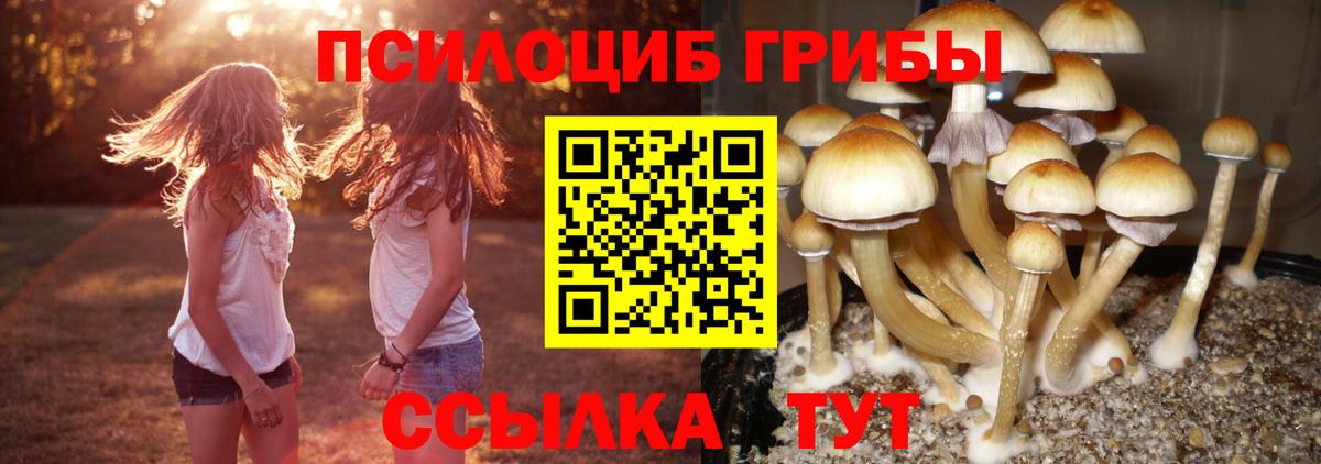 Зеленодольск  Галлюциногенные грибы Cubensis  Вход с VPN 